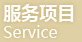 服务项目