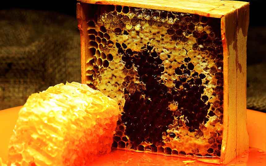 蜂巢