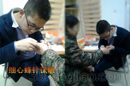 杨志刚细心蜂疗