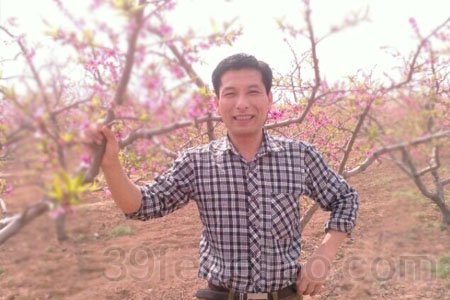 河南省卫辉市蜂疗人——侯雪飞