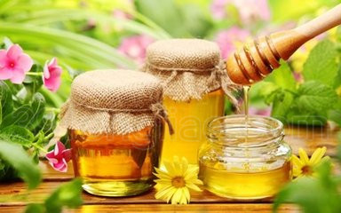 蜂蜜种类之传统蜜种篇