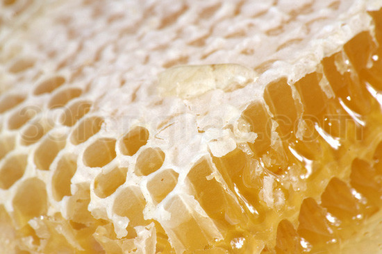 吃蜂巢能治疗鼻炎吗？