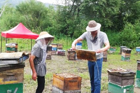 饶河蜂农登上世界蜂业舞台