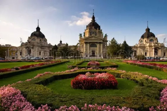 匈牙利蜂疗见闻