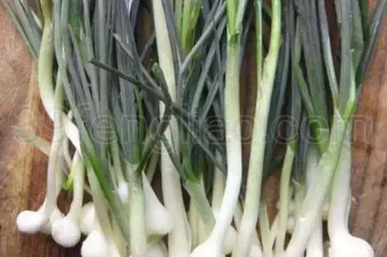 蜂蜜与葱、蒜能同食吗?