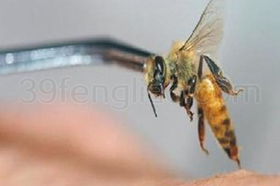 预防癌症和治癌的辅助作用