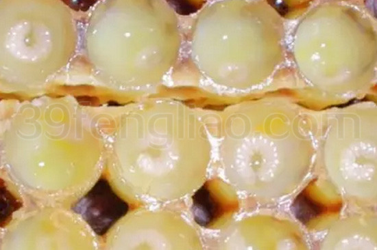 如此神奇牛X的蜂王浆，你吃过没？