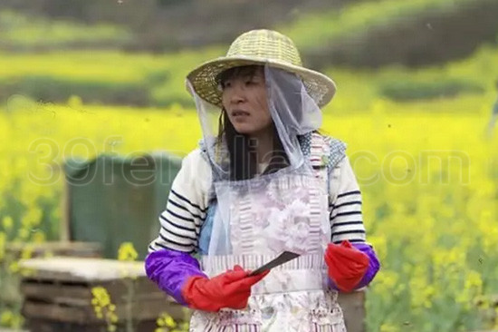 优劣、真假蜂王浆的鉴别大招！