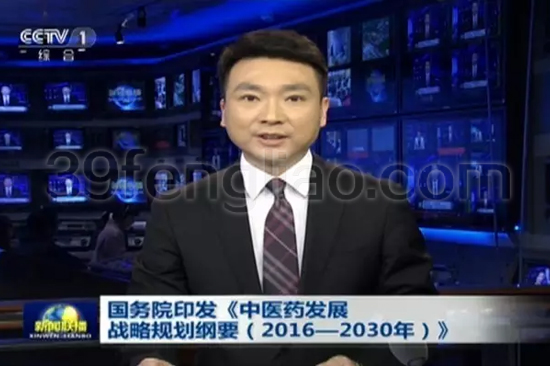 蜂疗,39蜂疗网,蜜蜂