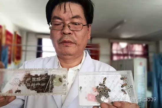 李浩炜荣任世界中联蜂疗专业委员会副秘书长