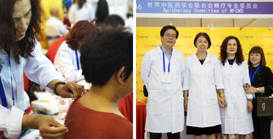 刘忠玲荣任世界中联蜂疗专业委员会理事