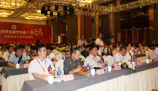 杨土坚受邀参加蜂疗分会一届二次学术会议