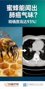 蜜蜂能识破肺癌？准确率高达93%！