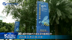第六届世界蜂疗大会新闻报道