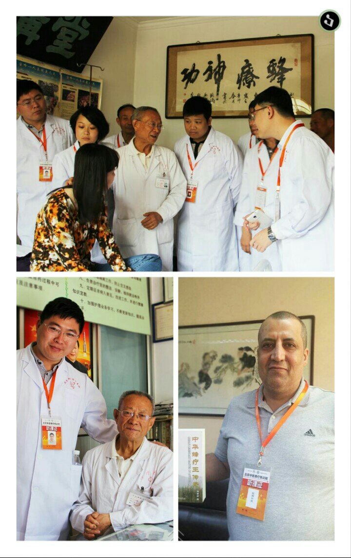 王孟林大师在传授蜂疗