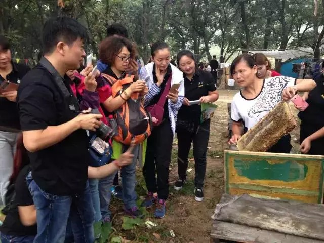 蜂蜜农庄与蜂农面对面