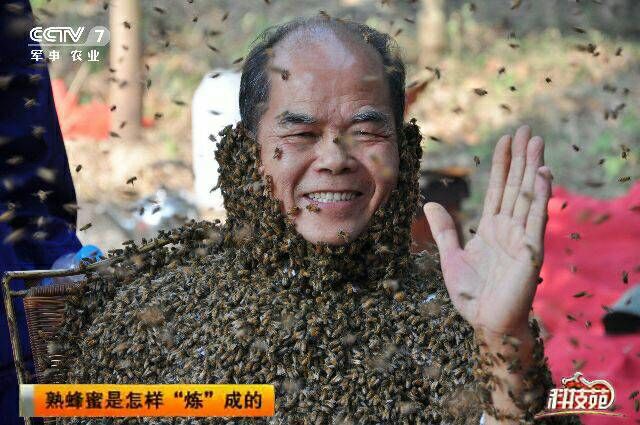 广西蜂王杨传全