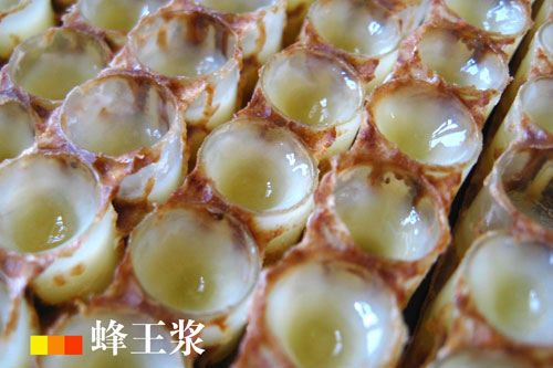 鲜蜂王浆