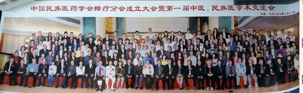 中国民族医药学会蜂疗分会成立大会暨第一届中医、民族医蜂疗学术交流会到会成员合影