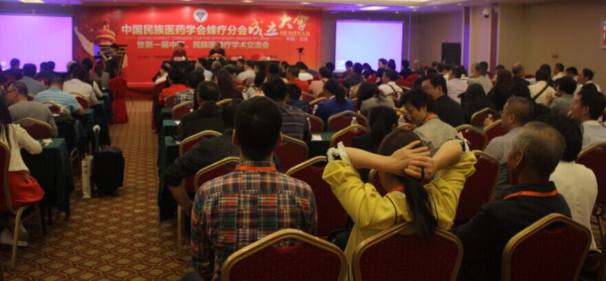 参加中国民族医药学会蜂疗分会成立大会暨第一届中医、民族医蜂疗学术交流会的成员在会场