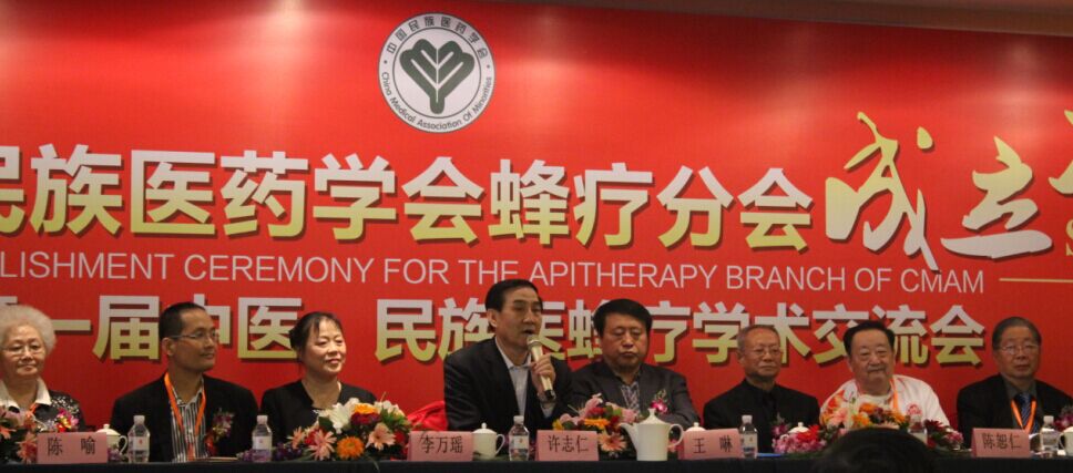 中国民族医药学会许世仁发言