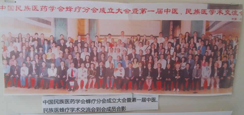 中国民族医药学会蜂疗分会成立大会暨第一届中医、民族医蜂疗学术交流会到会成员合影