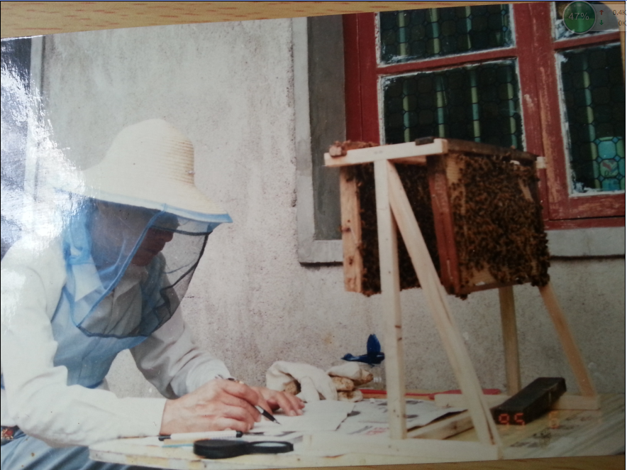 陈剑锋医生在观察蜜蜂