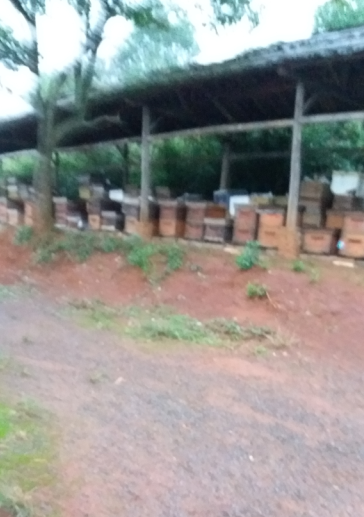 神农蜂生态旅游园 养蜂场部分