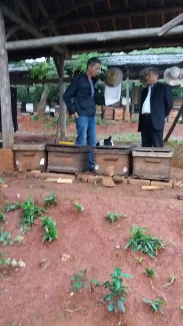 湖南郴州市神农蜂业有限责任公司经理祖湘蒙向 养蜂场场长了解蜂场情况