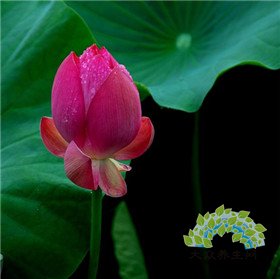 看古代人的“养生之根”——大众养生网