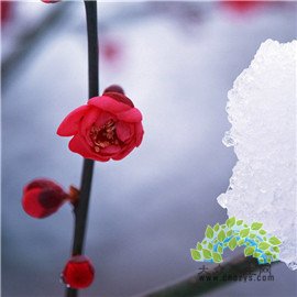 脾胃不好可能诱发喘证——大众养生网