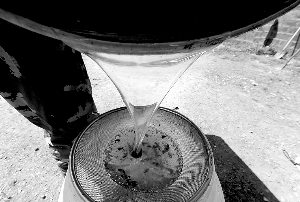 蜂蜜制品是用果葡糖浆和包装假扮蜂蜜