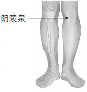 阴陵穴位置及主治病症——大众养生网
